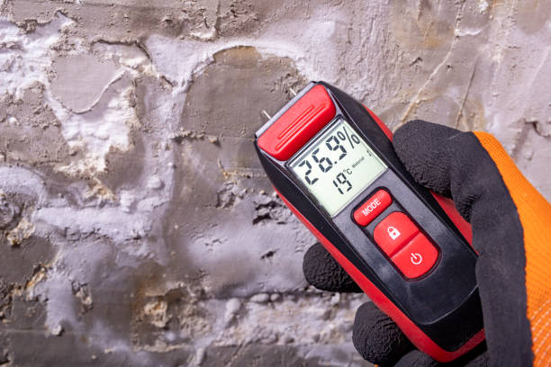 Best Mold Damage Repair  in Muscoda, WI