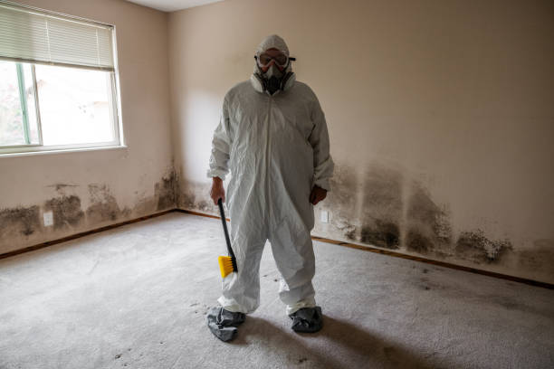 Best Crawl Space Mold Removal  in Muscoda, WI