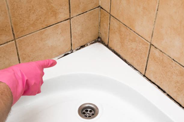 Best Mold Inspection  in Muscoda, WI